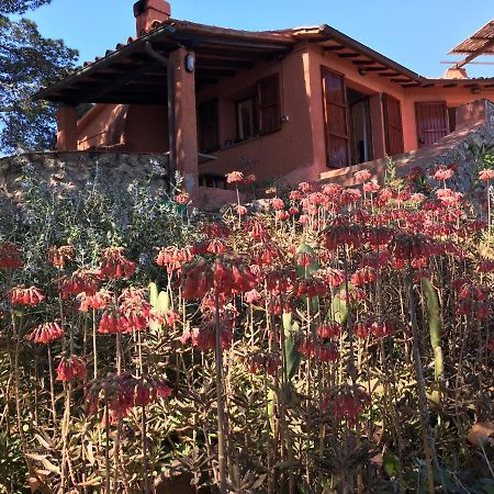 イーゾラ・デル・ジャンヌートリ Casa Diana Bed & Breakfast エクステリア 写真