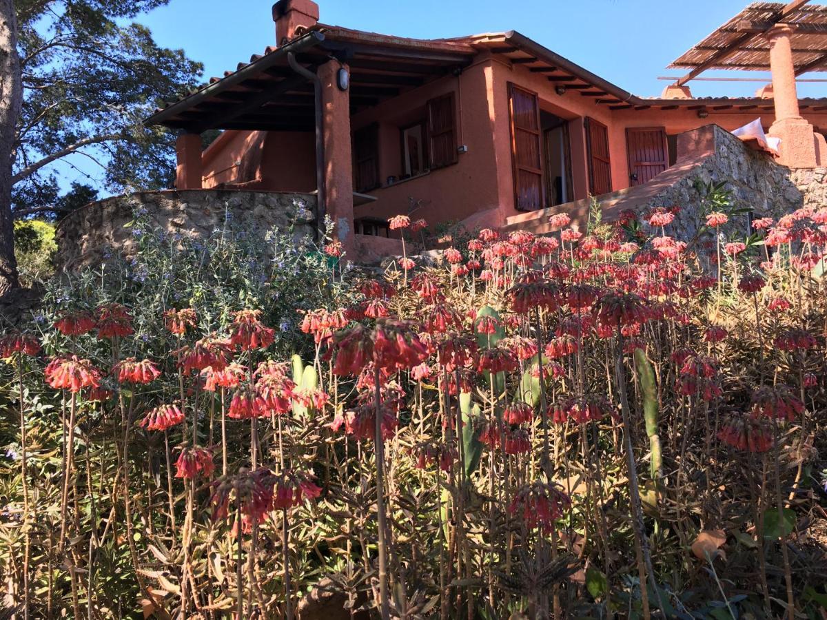 イーゾラ・デル・ジャンヌートリ Casa Diana Bed & Breakfast エクステリア 写真