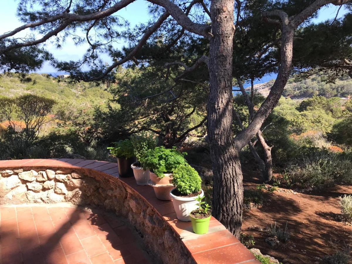イーゾラ・デル・ジャンヌートリ Casa Diana Bed & Breakfast エクステリア 写真
